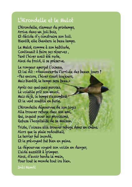 Fable110