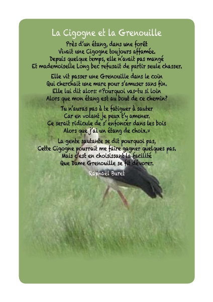 Fable110